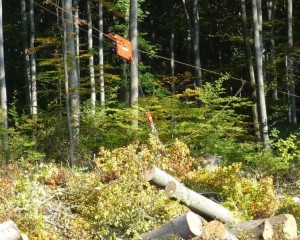 cache_48930764